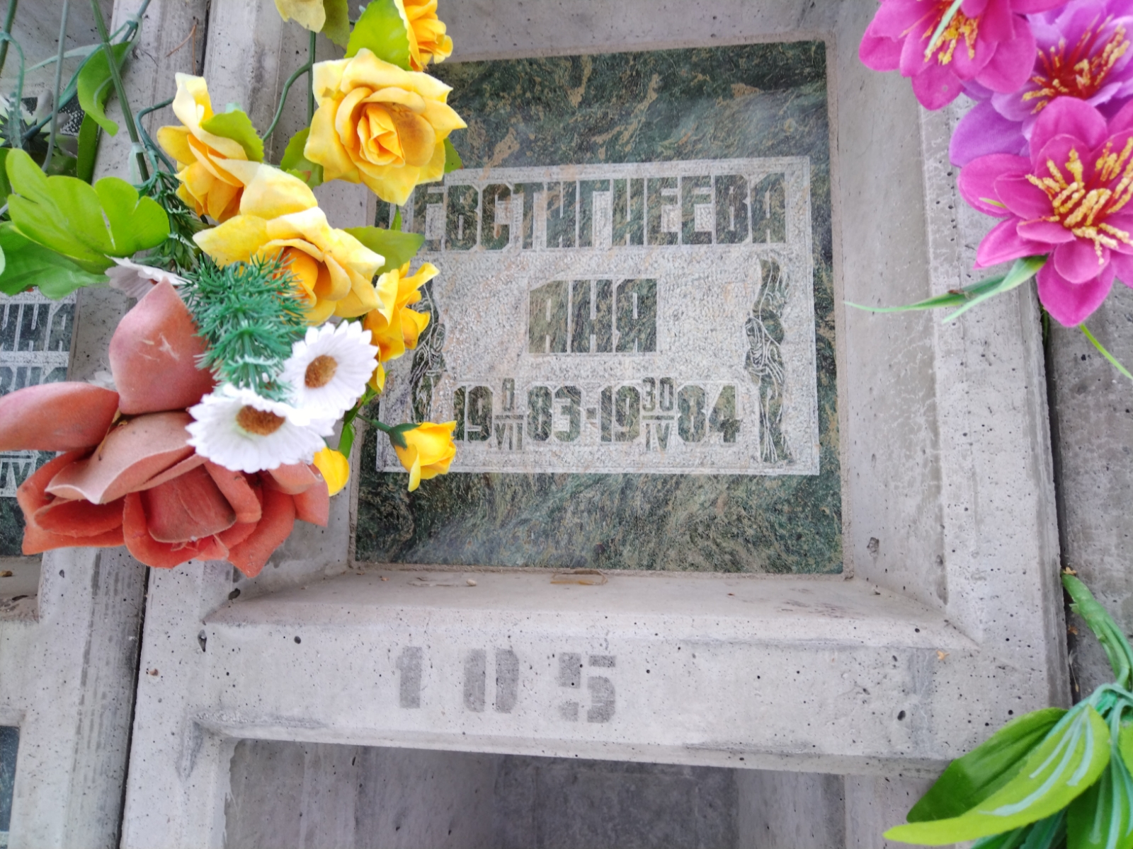 Евстигнеева Аня