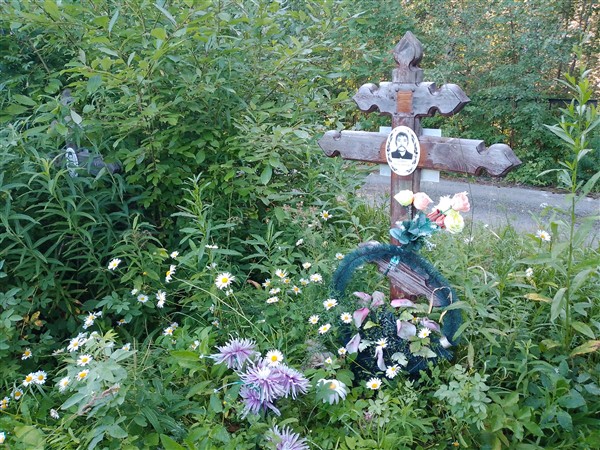 Ширяев Николай Борисович