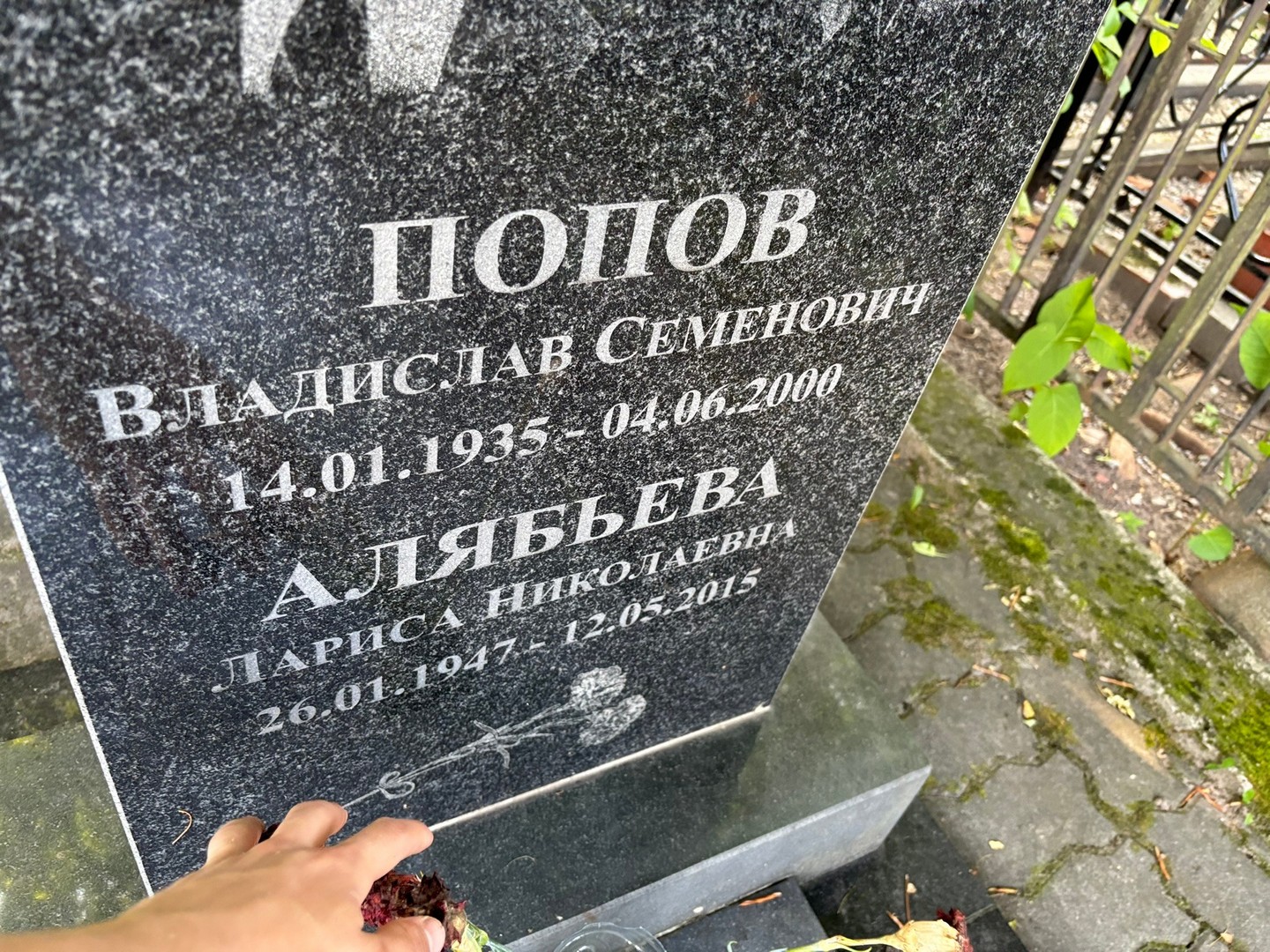 Алябьева