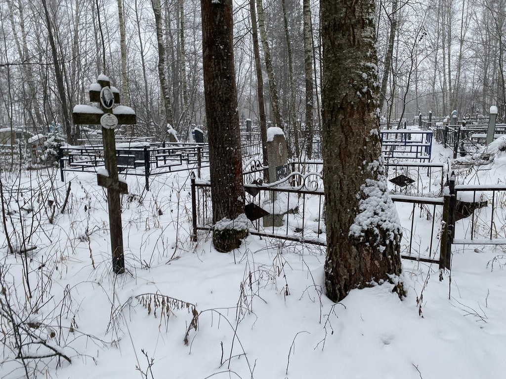 Веселов Никандр Иванович