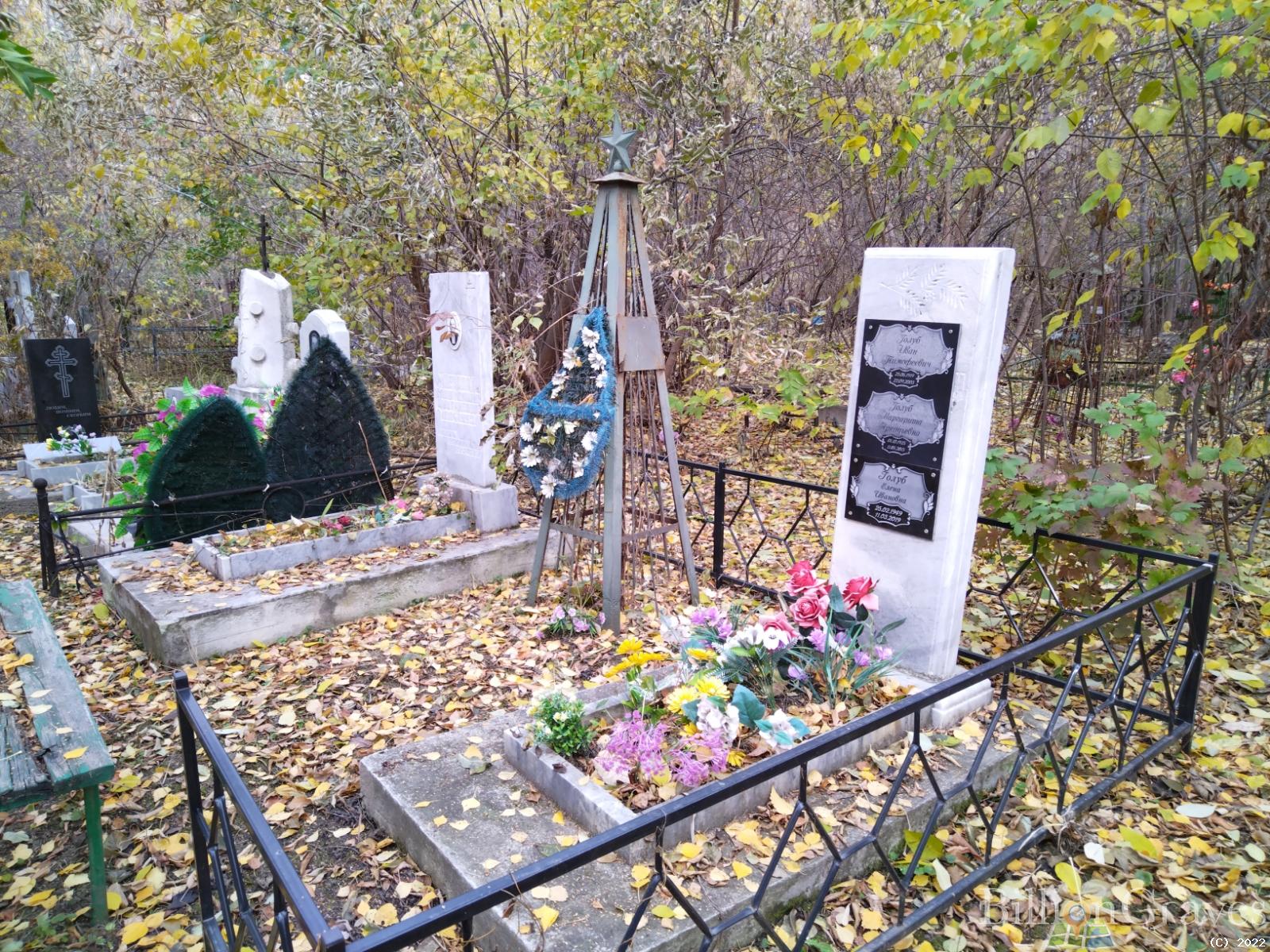 Голуб Елена Ивановна
