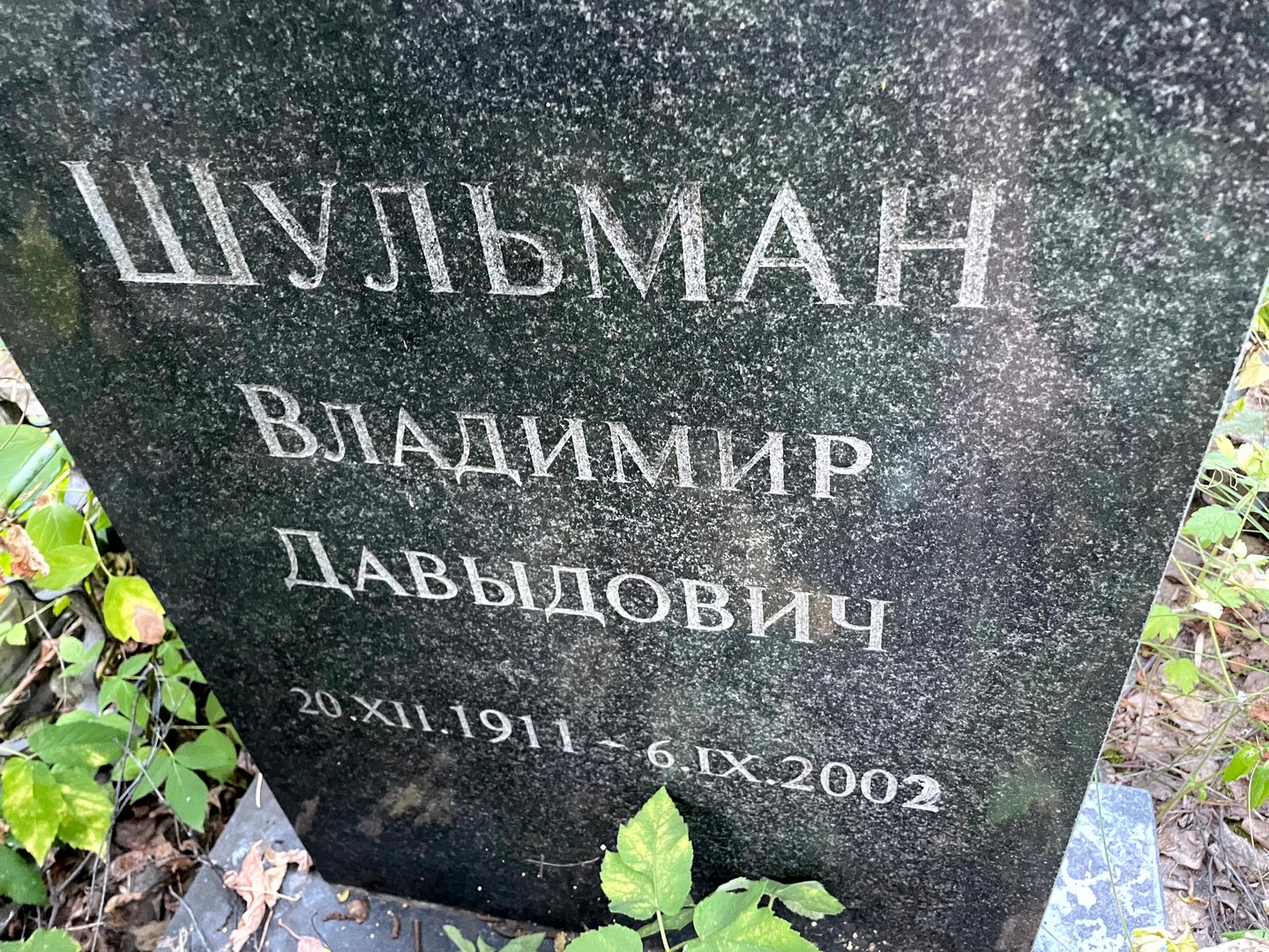 Шульман