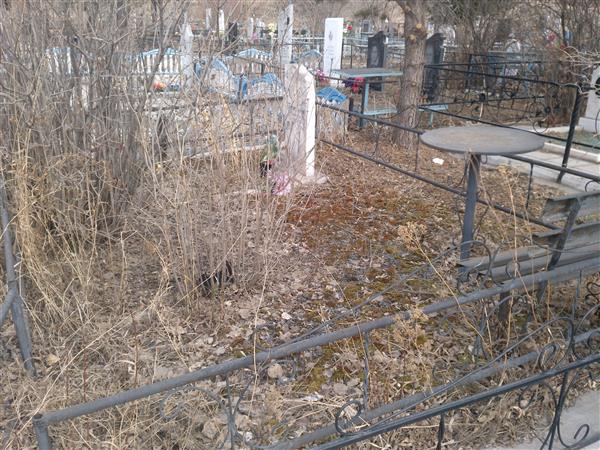 Терехин Виталий Григорьевич