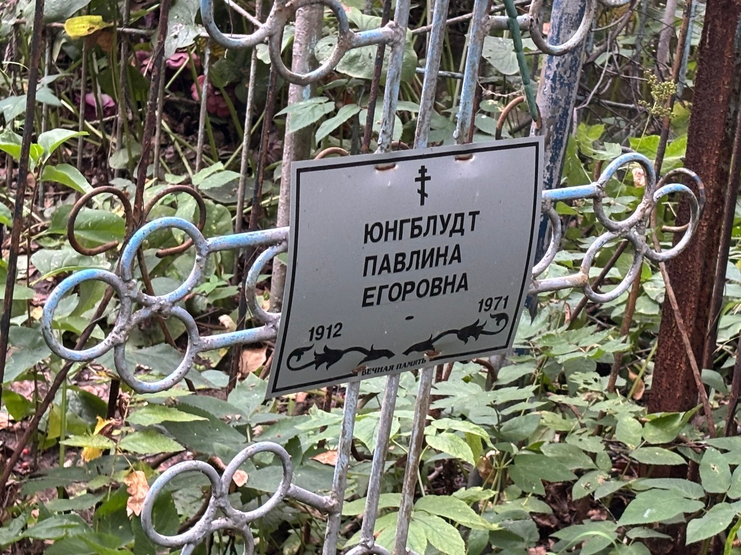 Павлина Юнгблудт Егоровна