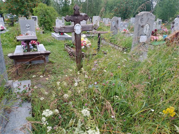 Утков Владимир Николаевич
