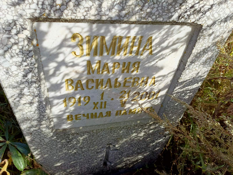 Зимина