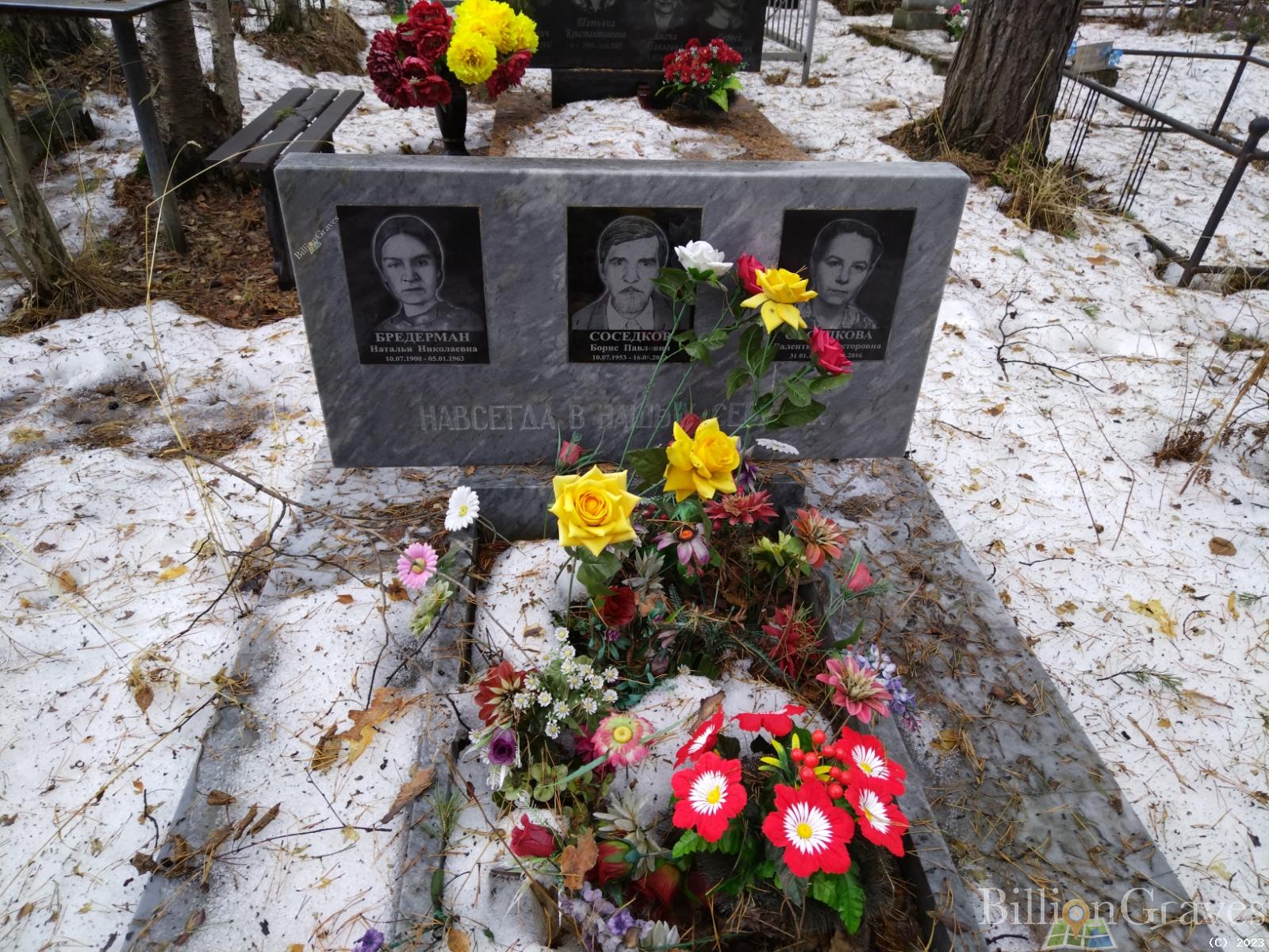 Бредерман Наталья Николаевна