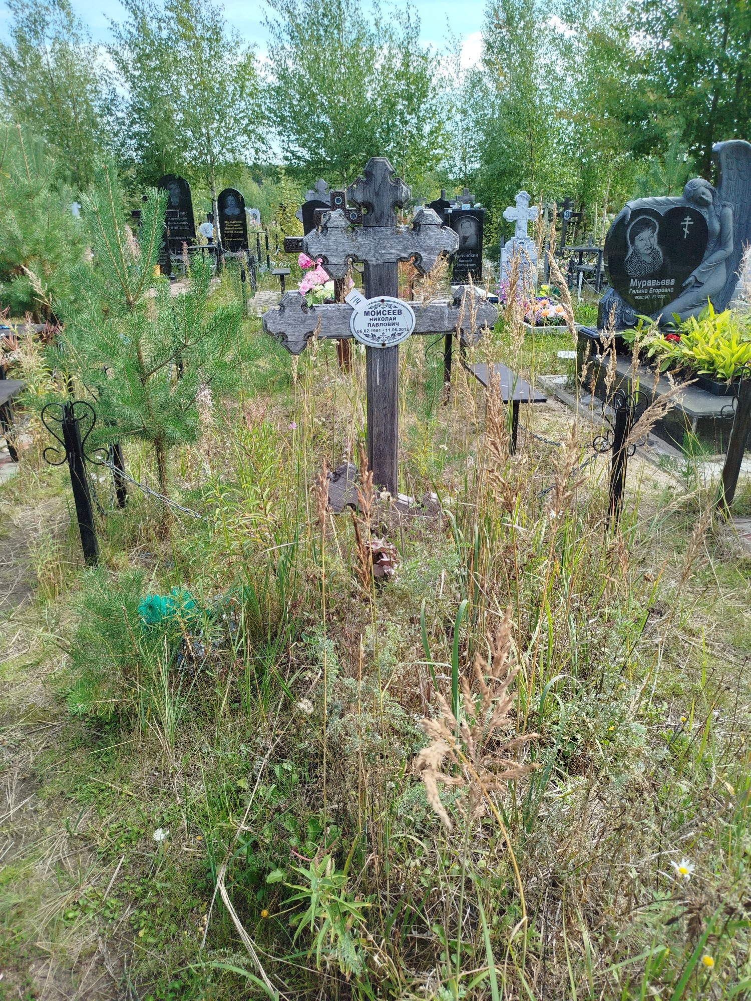 Моисеев Николай Павлович