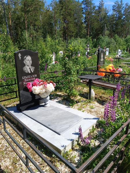 Брызгалов Василий Яковлевич