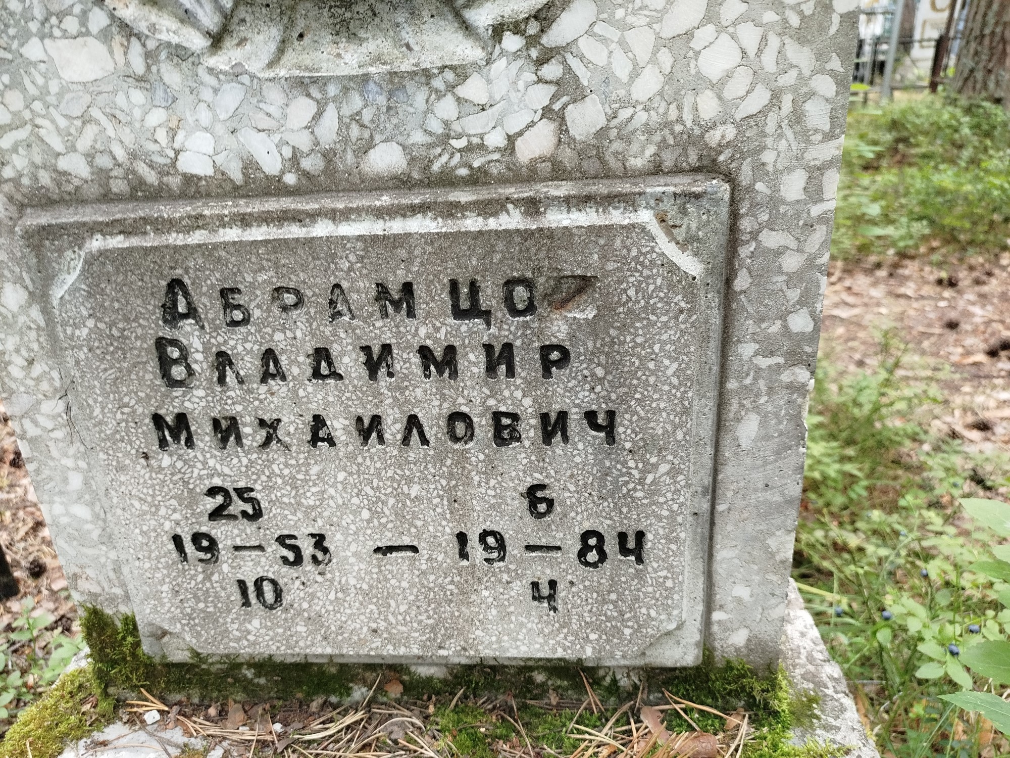 Абрамцов Владиимр Михайлович