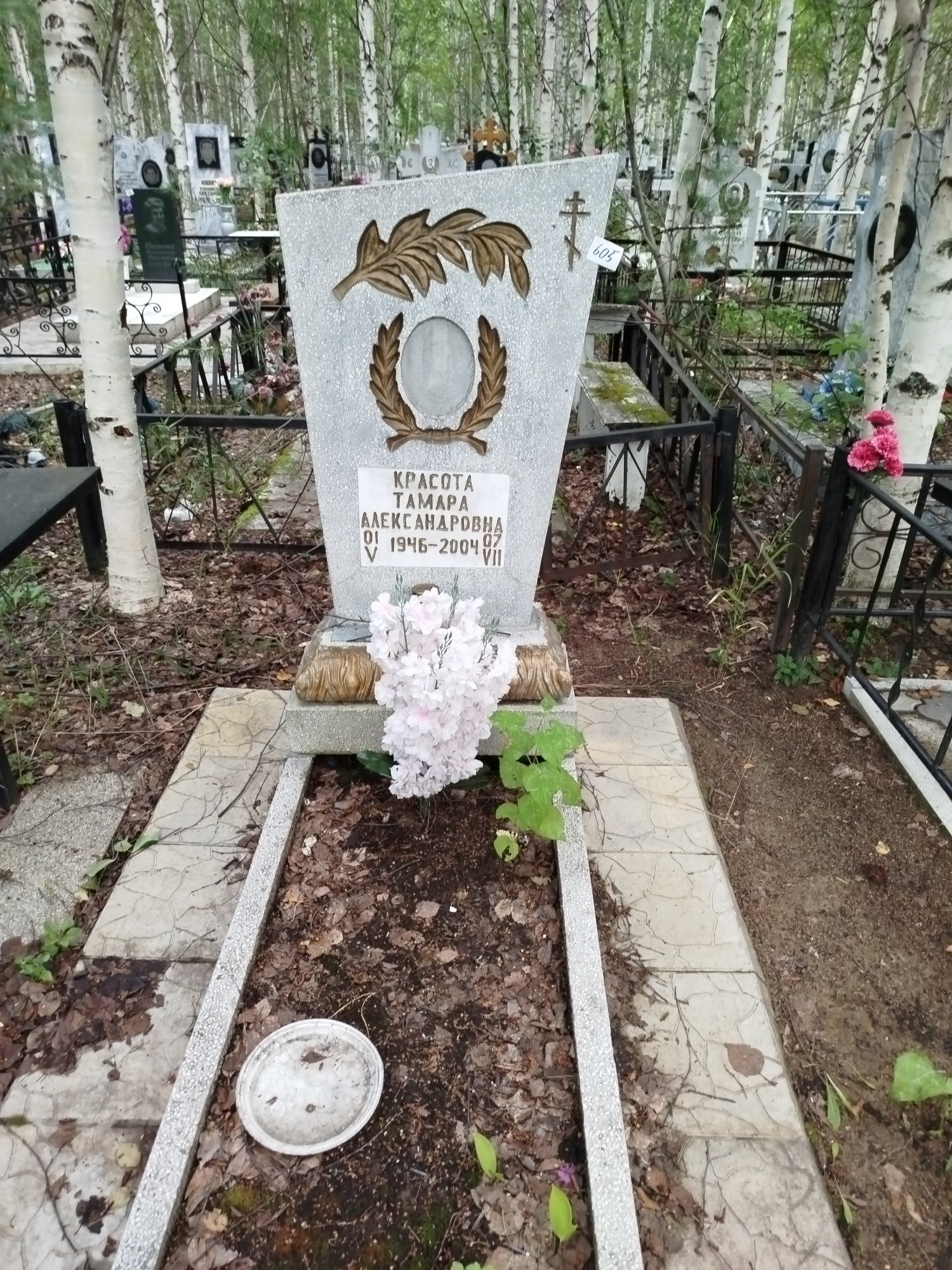 Красота Тамара Александровна