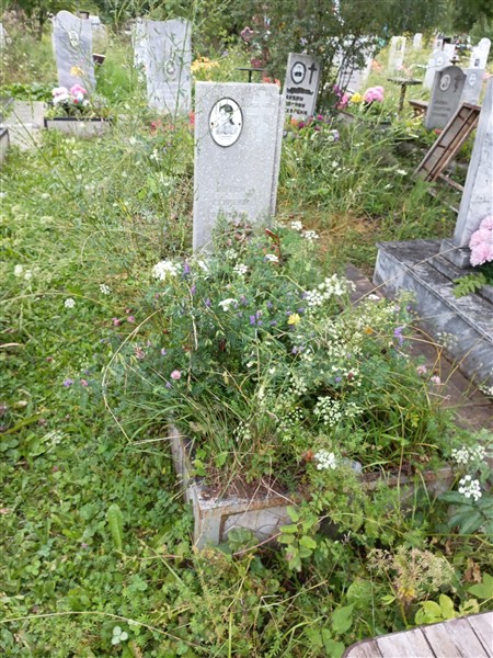 Егоршина Елена Леонидовна