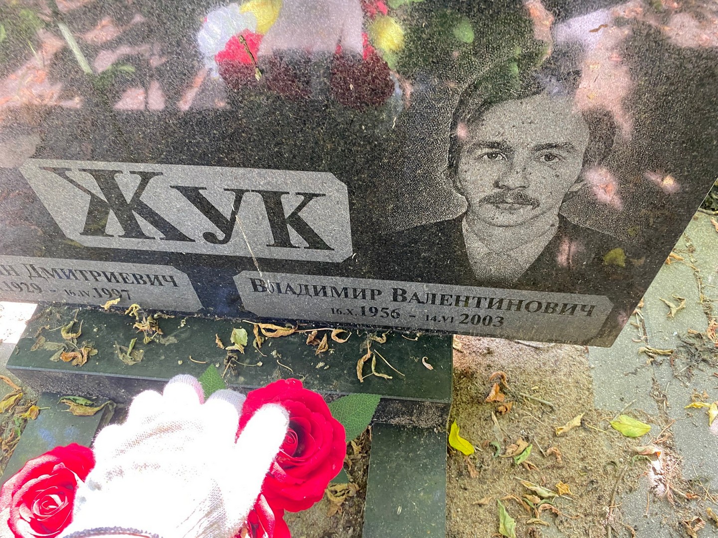 Жук