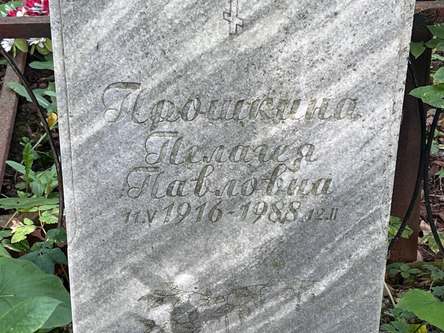 Прошкина Пелагея Павловна