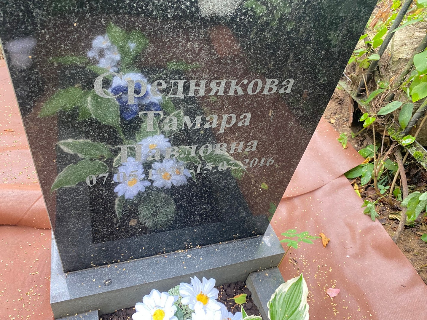 Среднякова