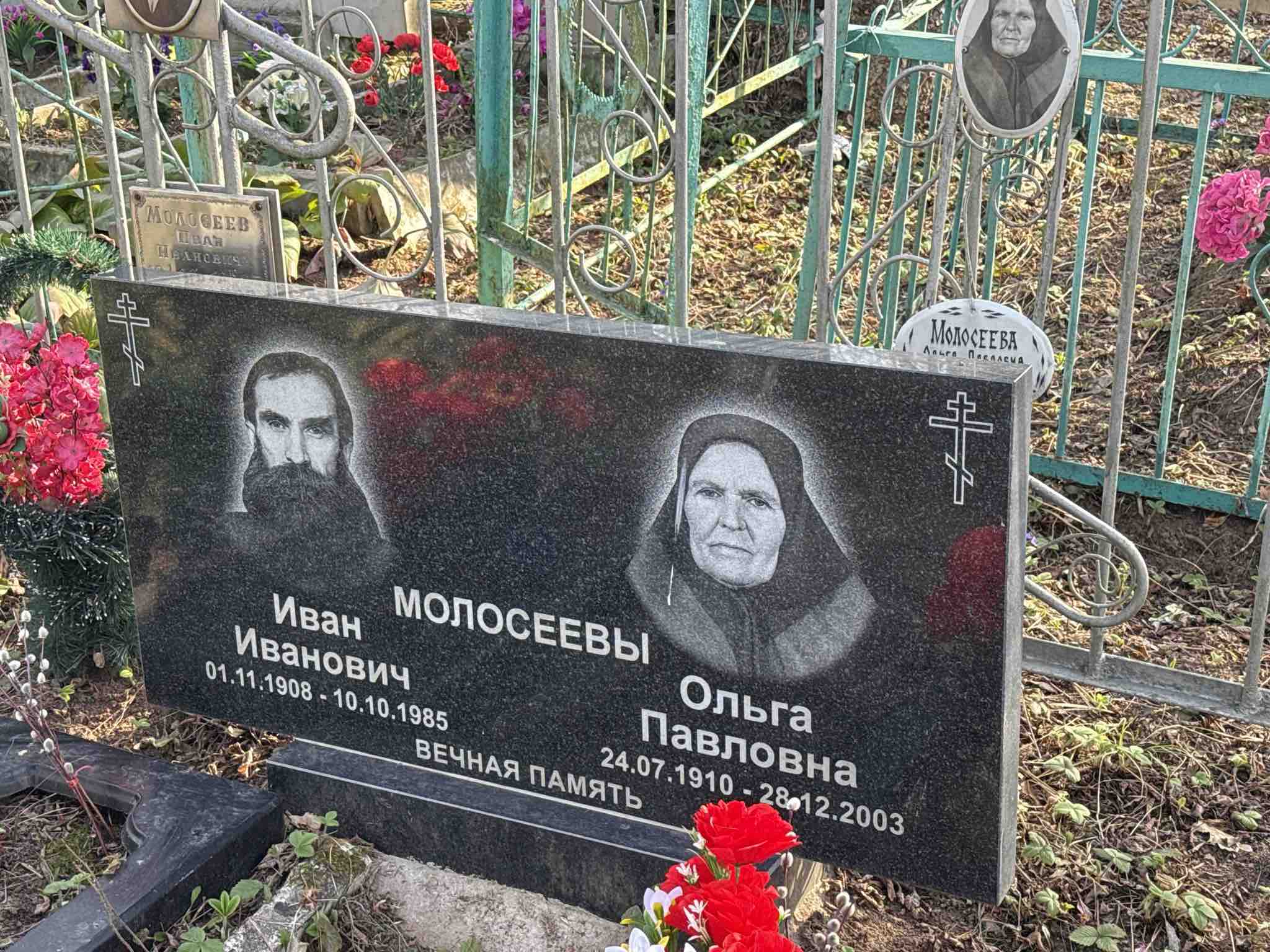 Молосеева Ольга Павловна