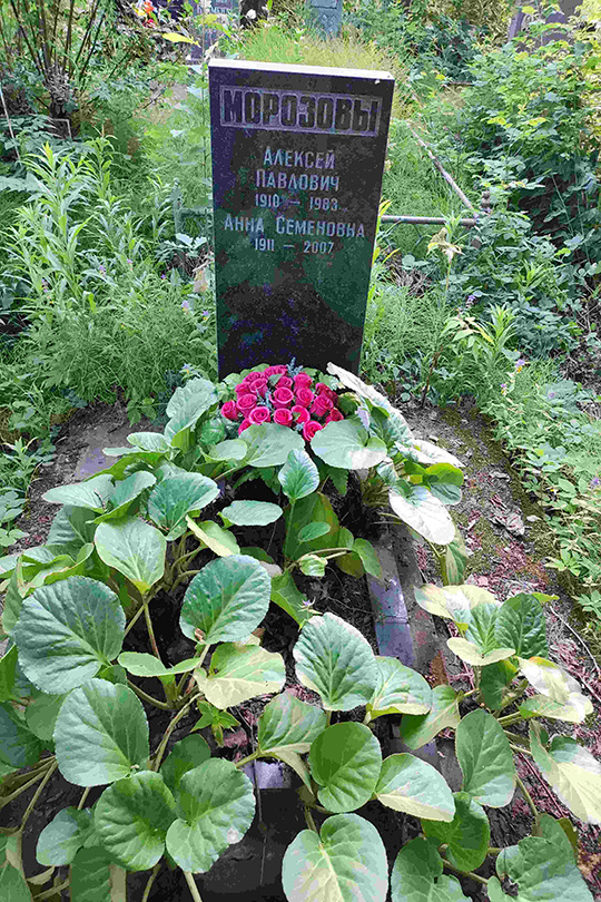 Морозова Анна Семеновна