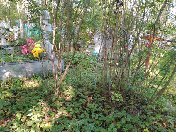 Воложанина Клавдия Петровна