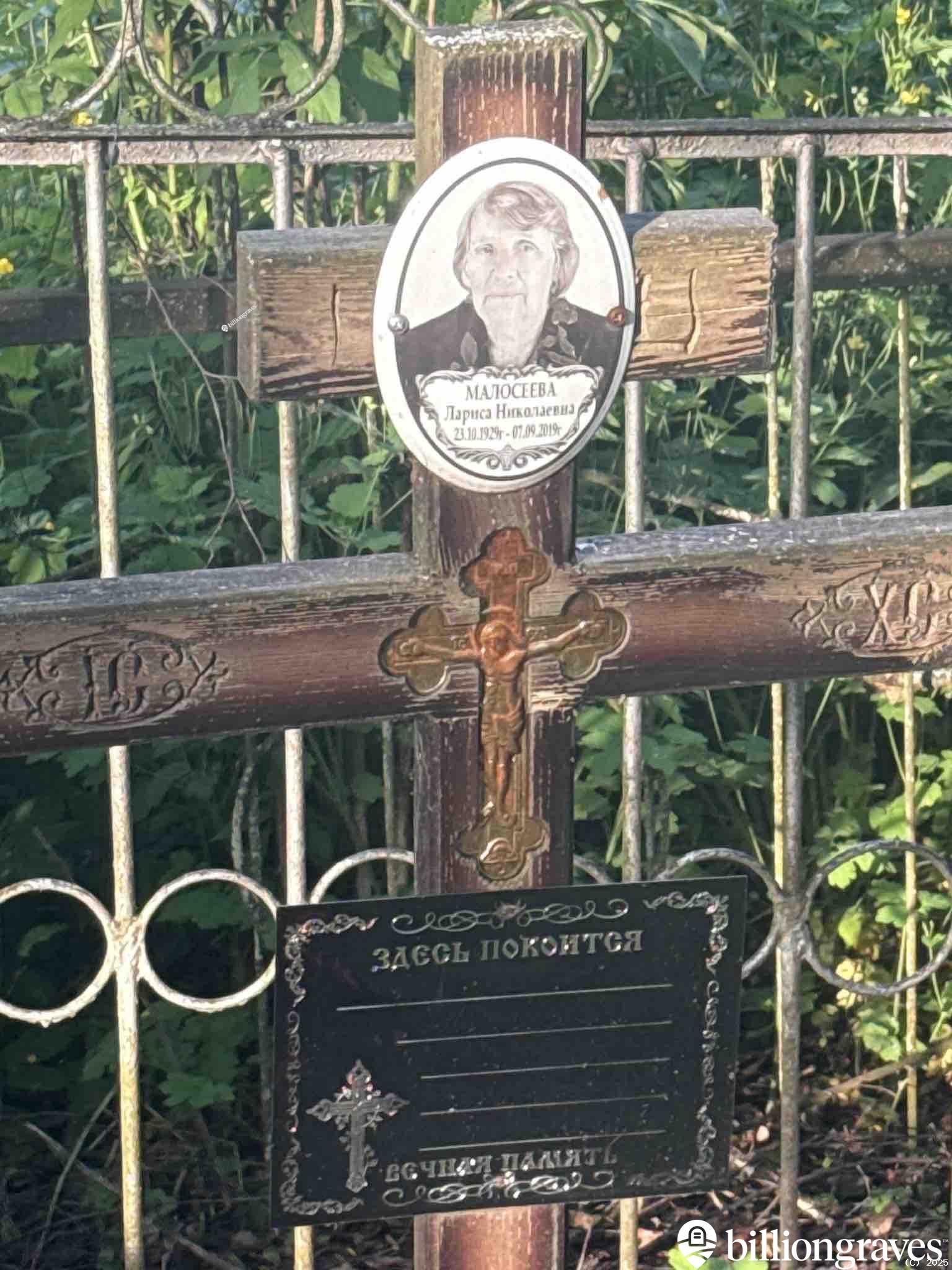 Малосеева Лариса Николаевна