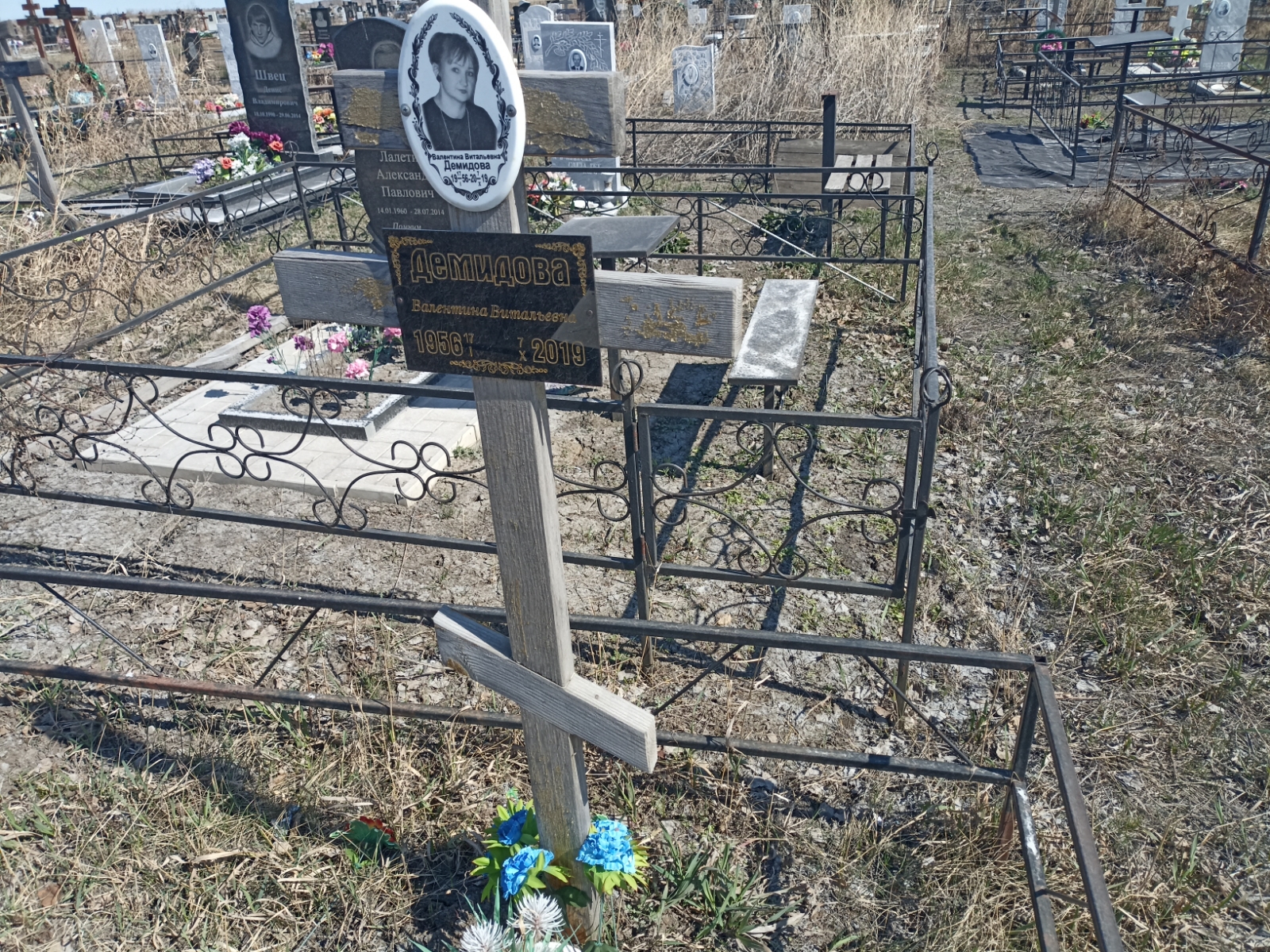 Демидова Валентина Витальевна