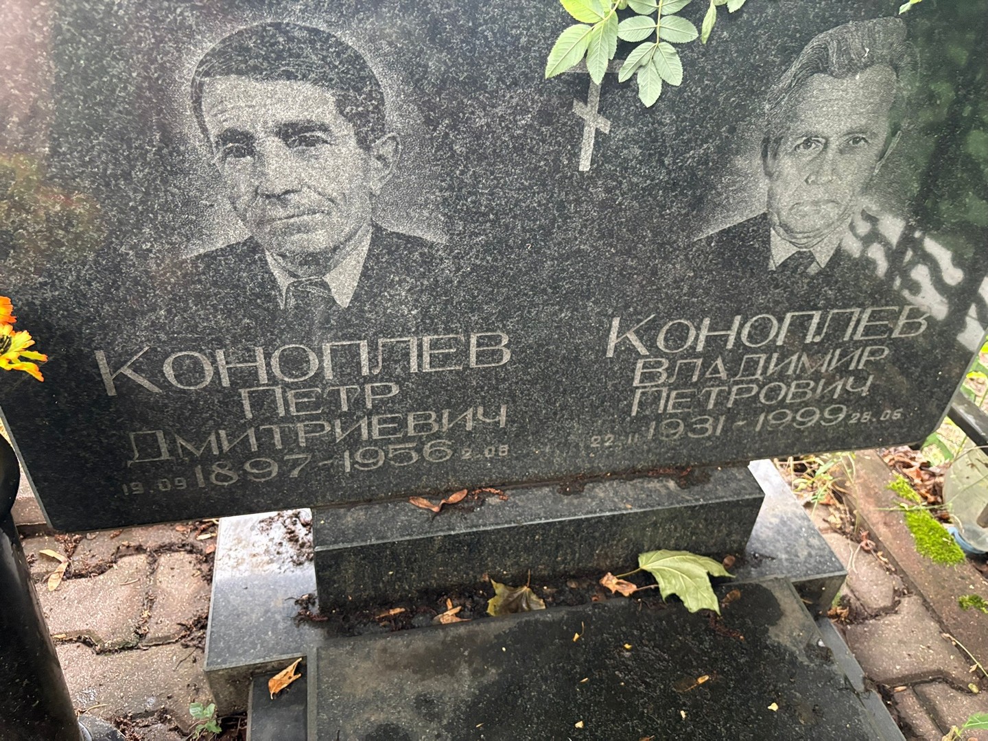 Коноплев