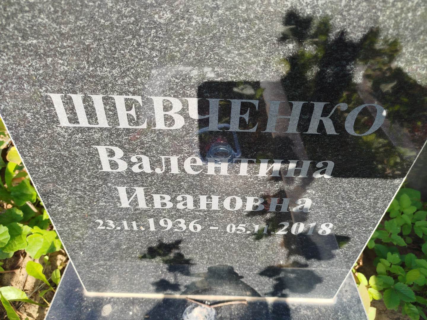 Шевченко