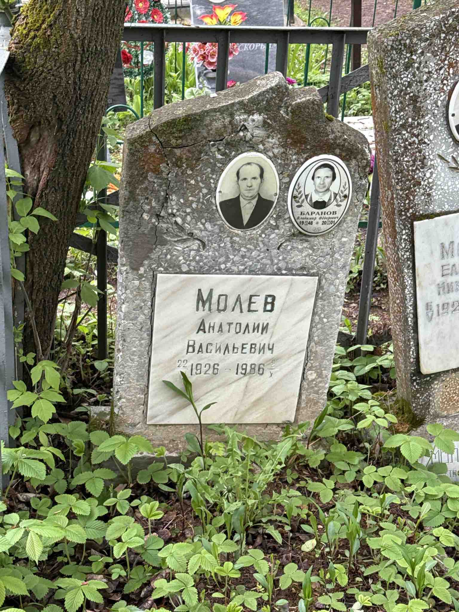 Молев Анатолий Васильевич