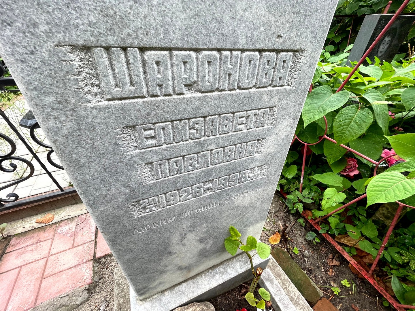 Шаронова
