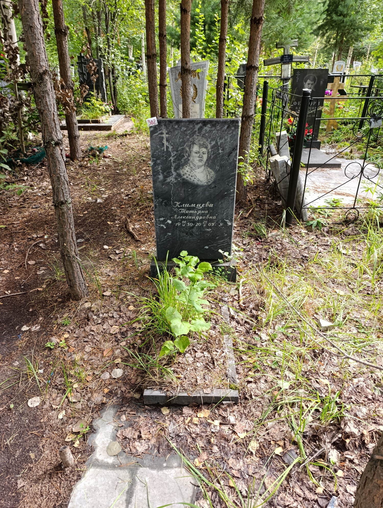 Климцева Татьяна Александровна