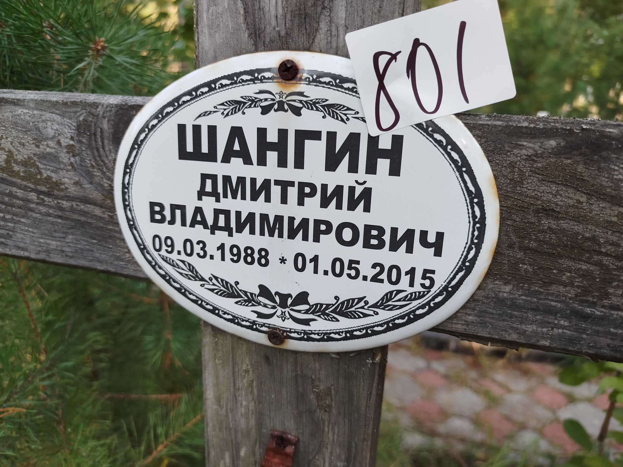 Шангин Дмитрий Владимирович