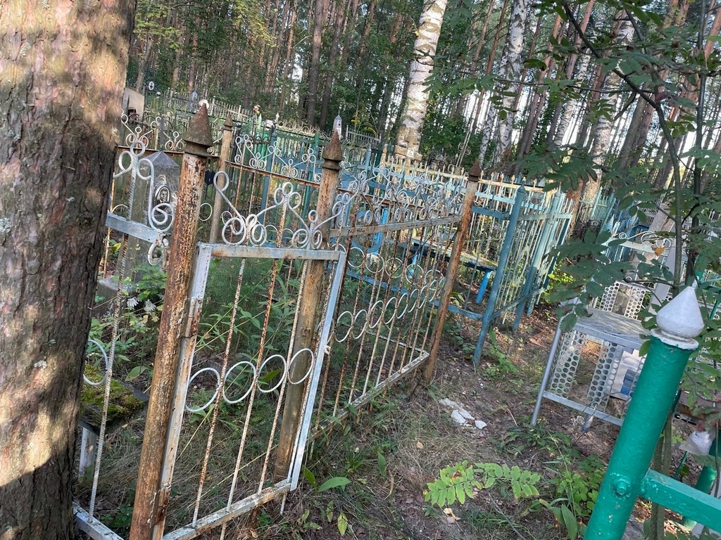 Борисова Анна Петровна