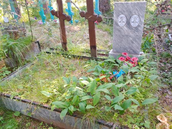 Васильев Савостьян Николаевич