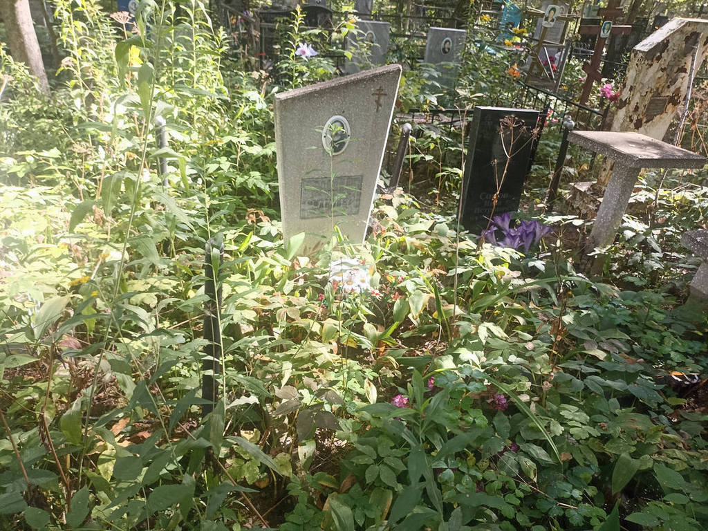 Сомов Иван Петрович