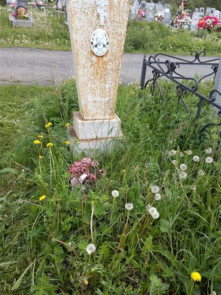 Недопёкин Владимир Николаевич