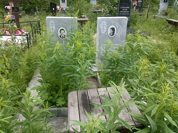 Балинов Виталий