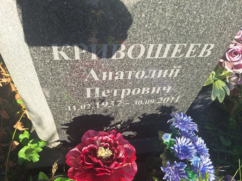 Кривошеев