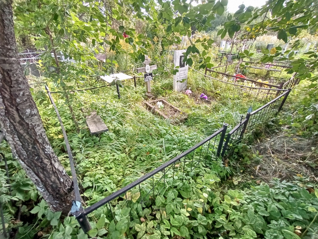 Толкачева Татьяна Федоровна