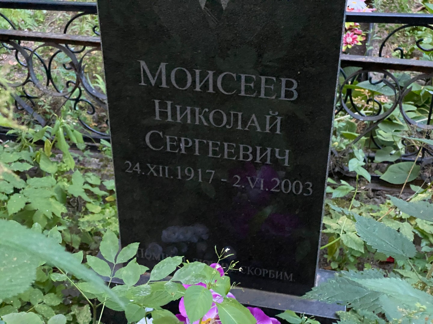 Моисеев