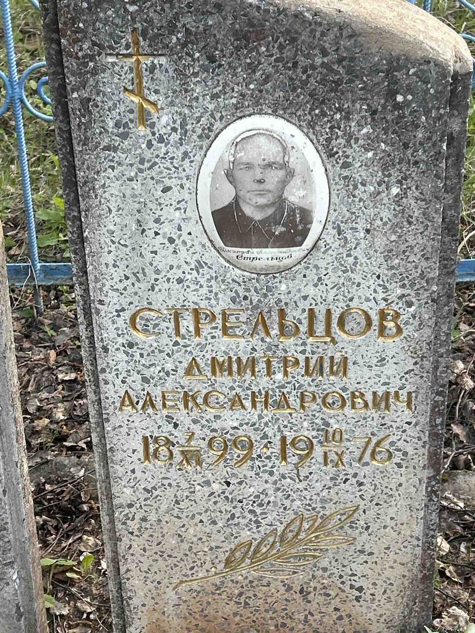 Стрельцов Дмитрий Александрович