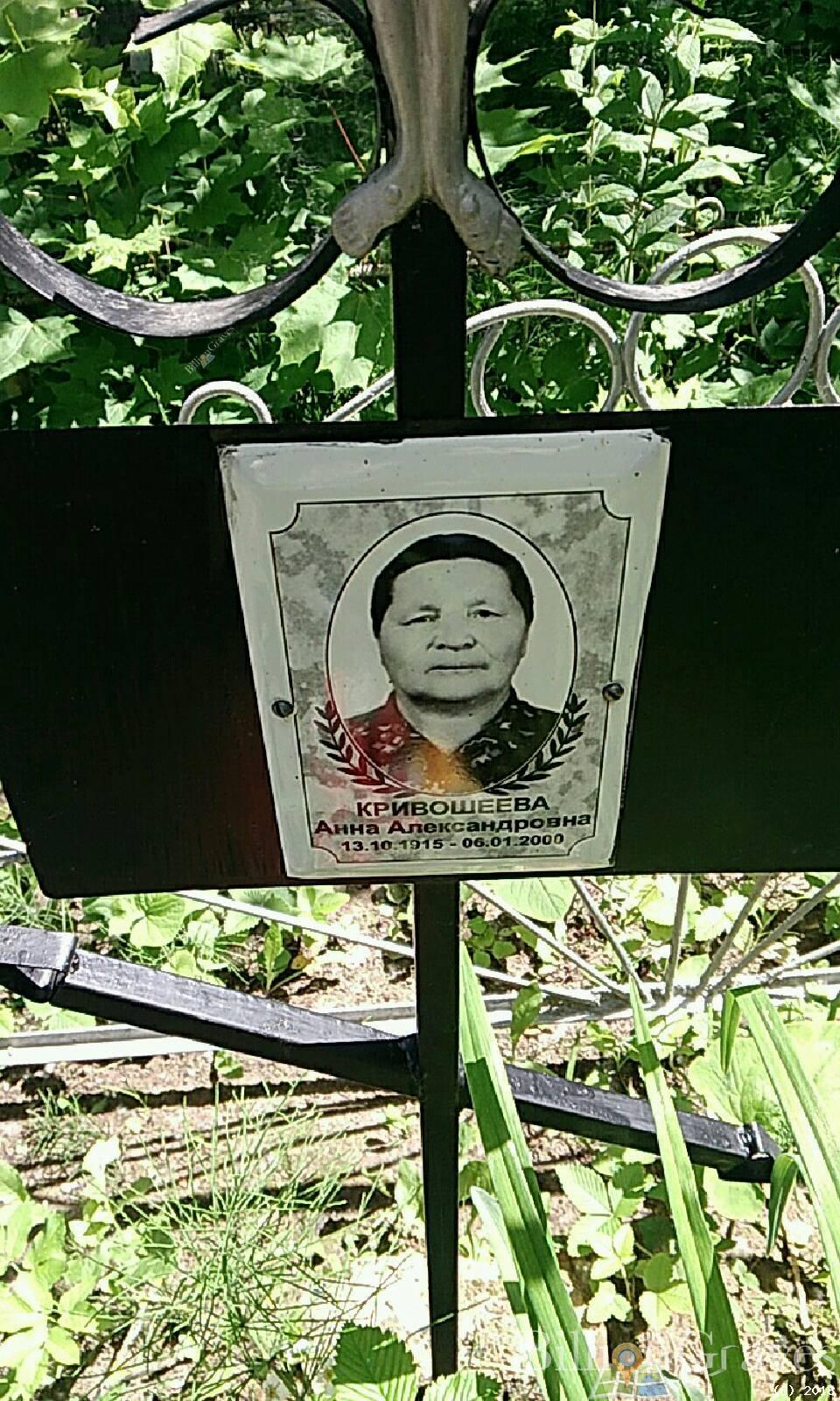 Кривошеева Анна Александровна