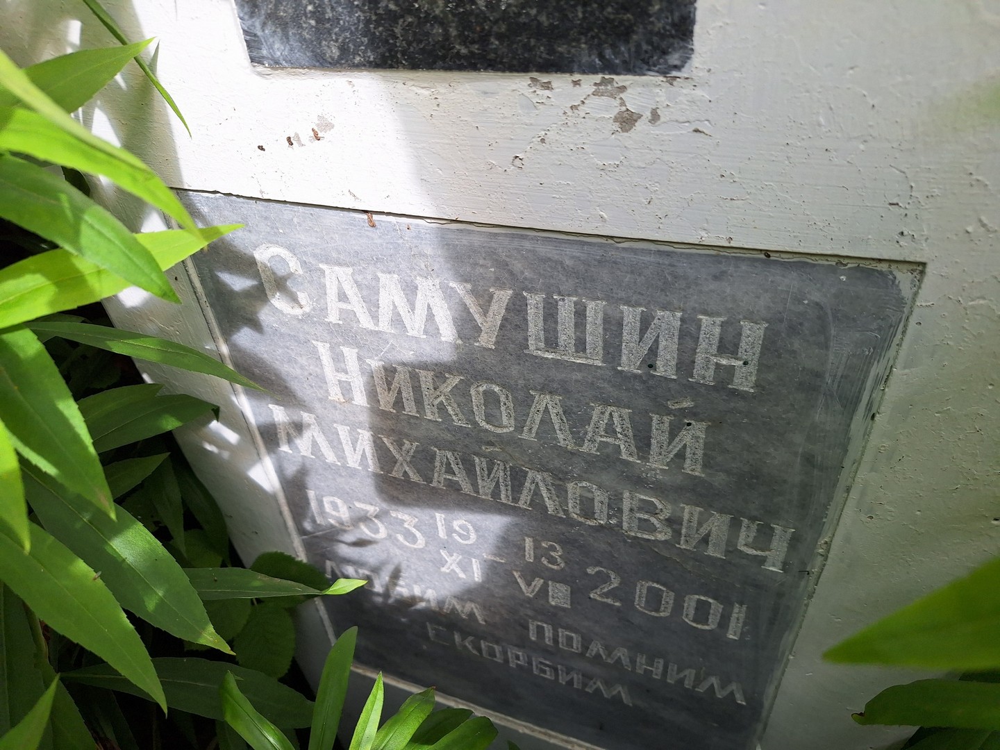 Самушин