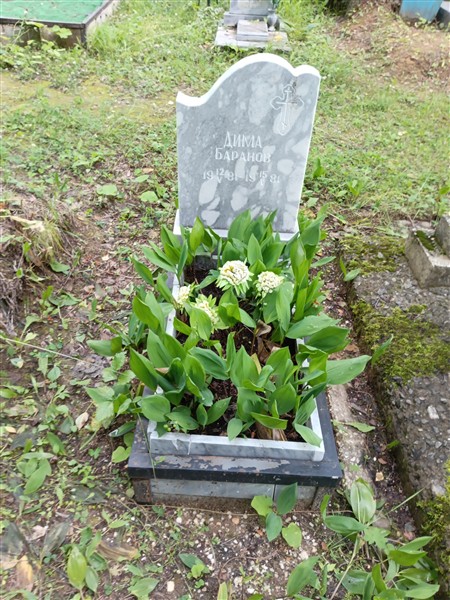 Баранов Дима