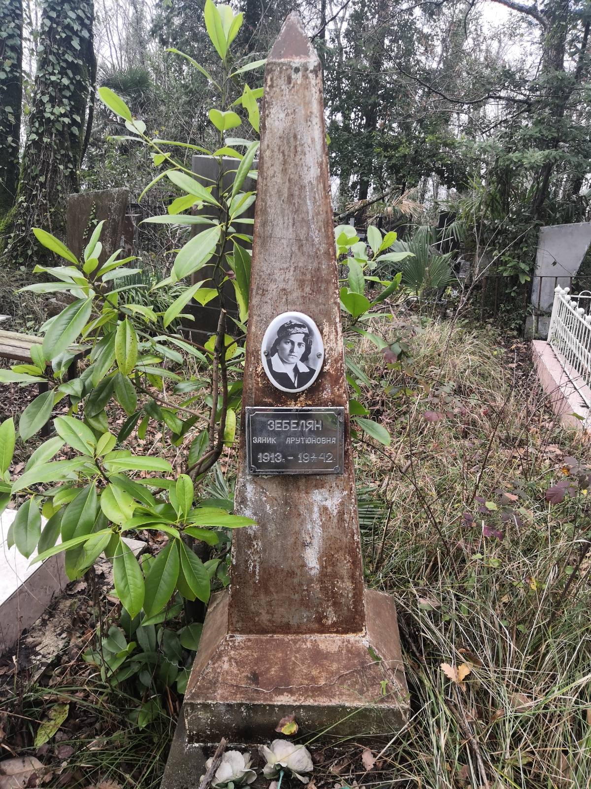 Зебелян Заник Арутюновна