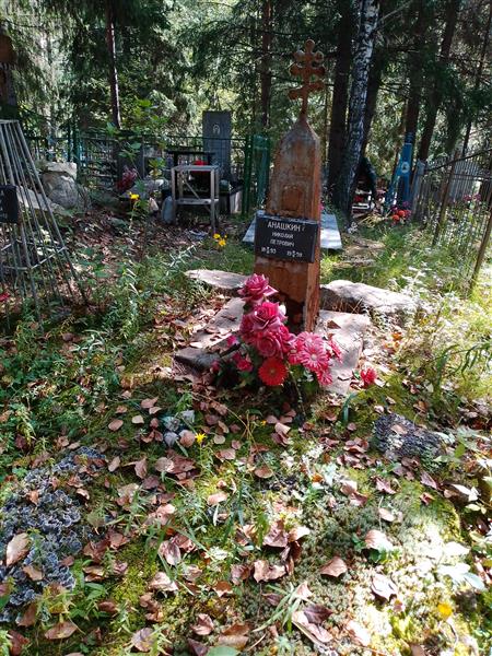 Анашкин Николай Петрович