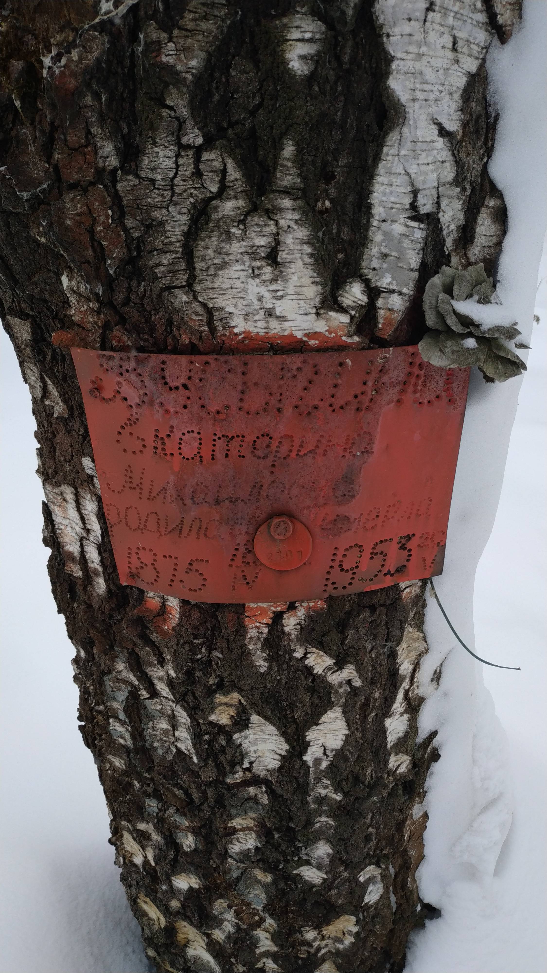 Бусыгина Екатерина Михайловна