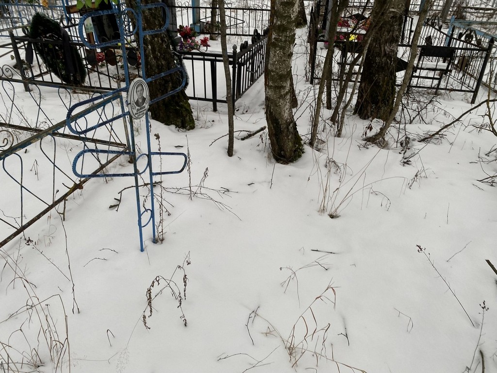 Дымова Анна Алексеевна