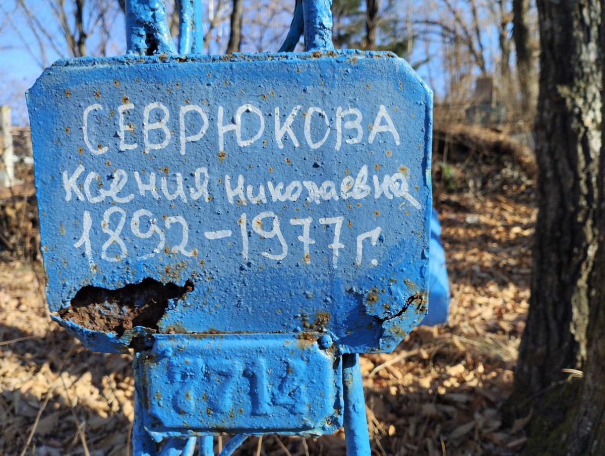 Севрюкова Ксения Николаевна