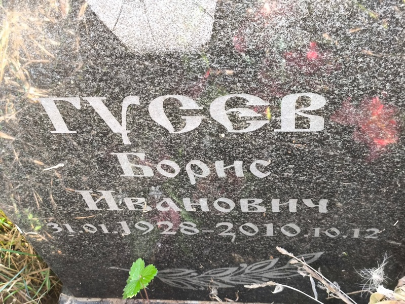 Гусев