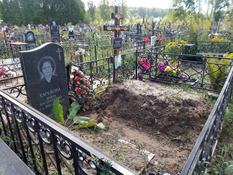 Харькова Анна Васильевна