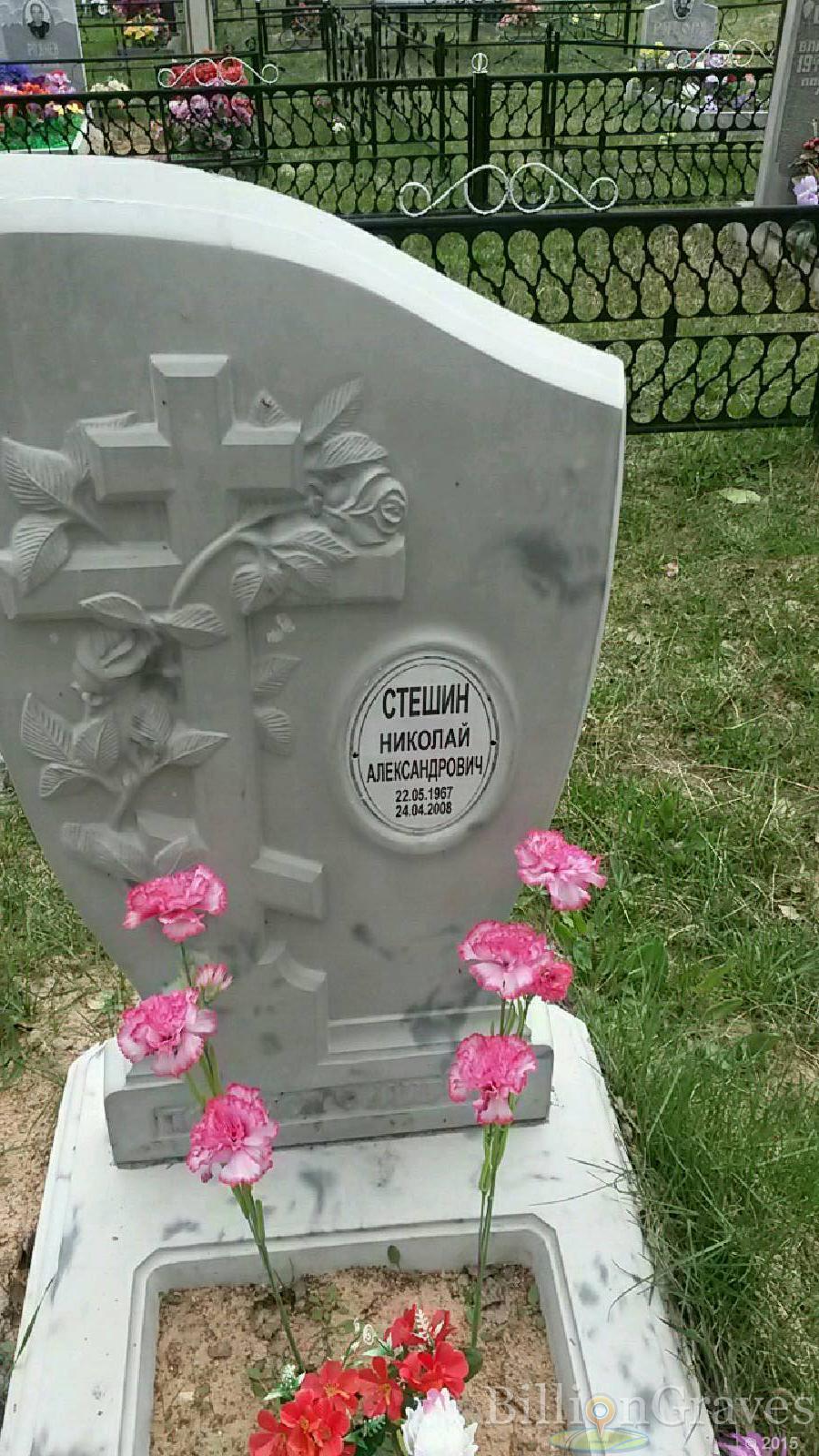 стешин николай александрович